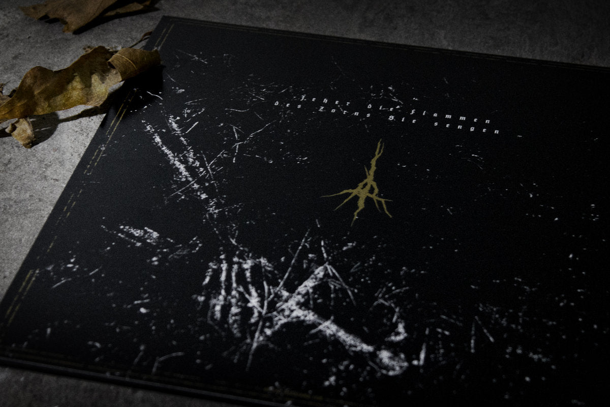 In Feuer (2019 – 12" Vinyl)