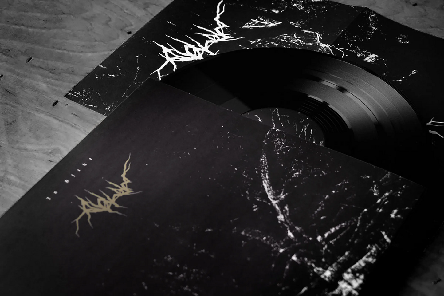 In Asche (2017 – 12" Vinyl)